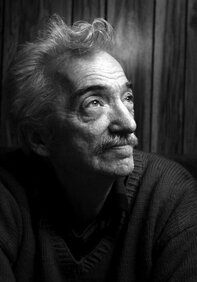 IK av Ronja Knudtsen